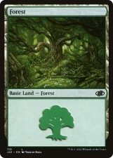 Forest card image