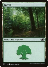 Forest card image