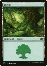 Forest card image