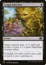 Fungal Infection card image