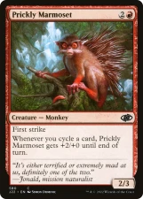 Prickly Marmoset card image