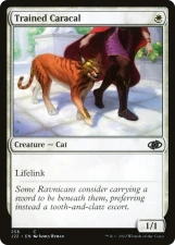 Trained Caracal card image