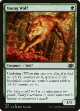 Young Wolf card image