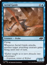 Aerial Guide card image