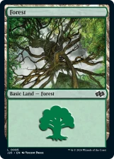 Forest card image
