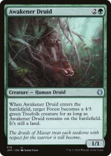 Awakener Druid card image