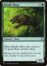 Brindle Shoat card image