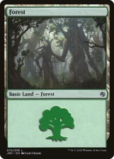 Forest card image