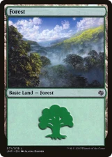Forest card image