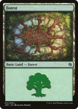 Forest card image