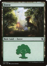 Forest card image