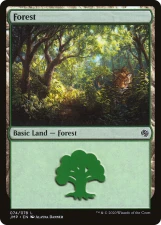 Forest card image