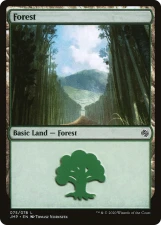 Forest card image