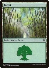 Forest card image