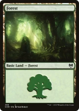 Forest card image