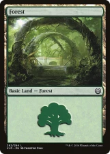 Forest card image