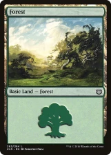 Forest card image