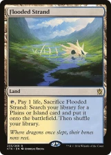 Flooded Strand card image