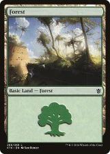 Forest card image