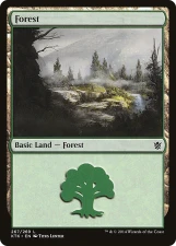 Forest card image