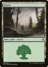Forest card image