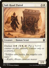 Salt Road Patrol card image
