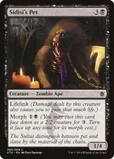 Sidisi’s Pet card image