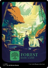 Forest card image