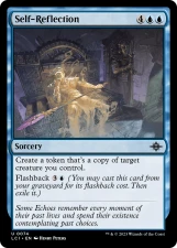 Self-Reflection card image
