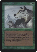 Aspect of Wolf card image