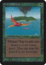 Birds of Paradise card image