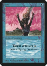Flight card image