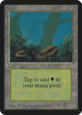 Forest card image