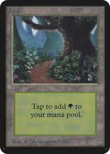 Forest card image