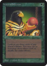 Natural Selection card image