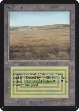 Savannah card image