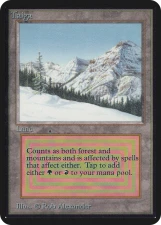 Taiga card image