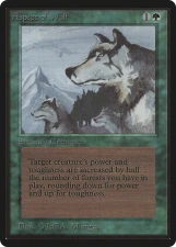 Aspect of Wolf card image