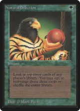 Natural Selection card image