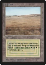 Savannah card image