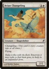 Avian Changeling card image