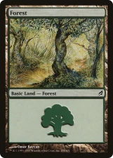 Forest card image