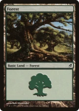 Forest card image