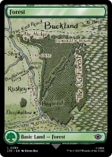 Forest card image