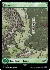 Forest card image