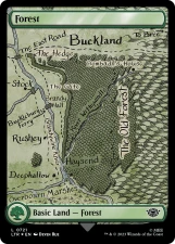 Forest card image