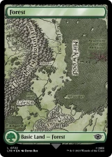 Forest card image