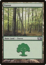 Forest card image