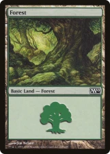 Forest card image