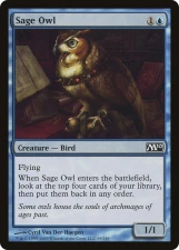 Sage Owl card image
